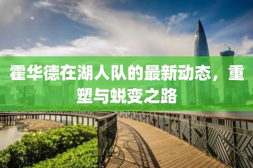 霍华德在湖人队的最新动态，重塑与蜕变之路