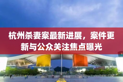 杭州杀妻案最新进展，案件更新与公众关注焦点曝光