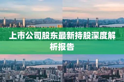 上市公司股东最新持股深度解析报告