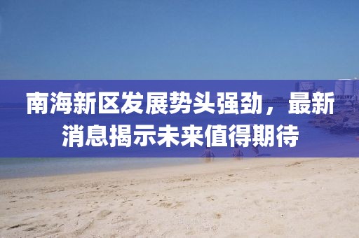 南海新区发展势头强劲，最新消息揭示未来值得期待