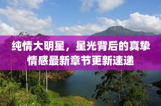 纯情大明星，星光背后的真挚情感最新章节更新速递