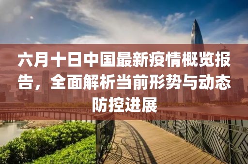 六月十日中国最新疫情概览报告，全面解析当前形势与动态防控进展