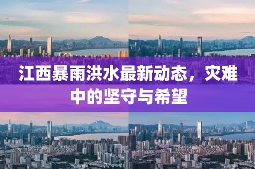 江西暴雨洪水最新动态，灾难中的坚守与希望