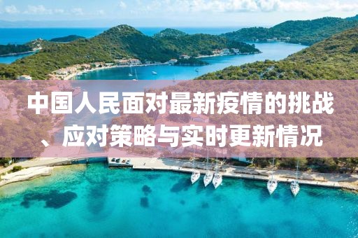 孝白容 第5页