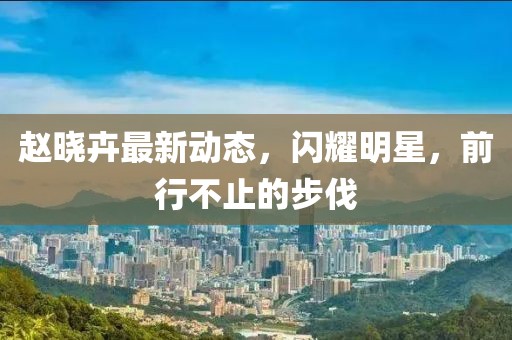 赵晓卉最新动态，闪耀明星，前行不止的步伐