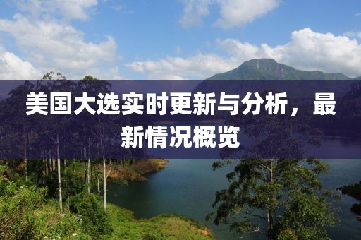 美国大选实时更新与分析，最新情况概览