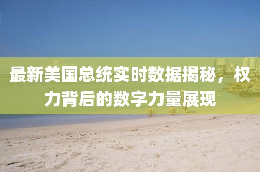 最新美国总统实时数据揭秘，权力背后的数字力量展现