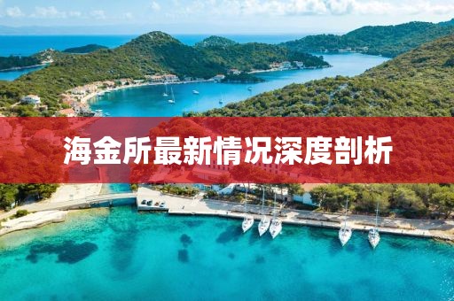 海金所最新情况深度剖析