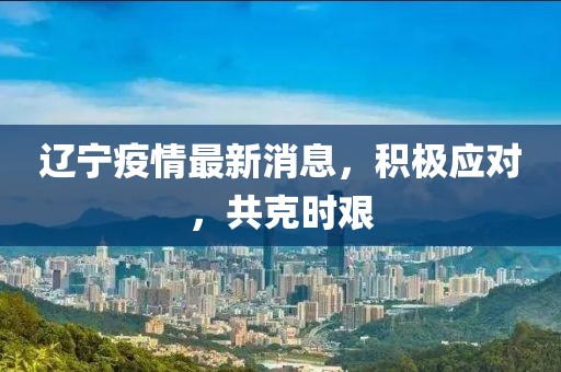 辽宁疫情最新消息，积极应对，共克时艰