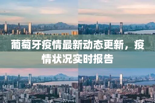 葡萄牙疫情最新动态更新，疫情状况实时报告