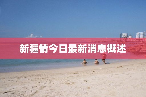 新疆情今日最新消息概述