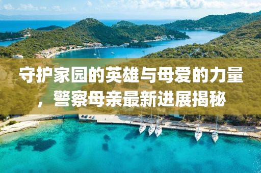 守护家园的英雄与母爱的力量，警察母亲最新进展揭秘
