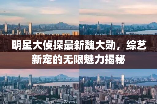 明星大侦探最新魏大勋，综艺新宠的无限魅力揭秘