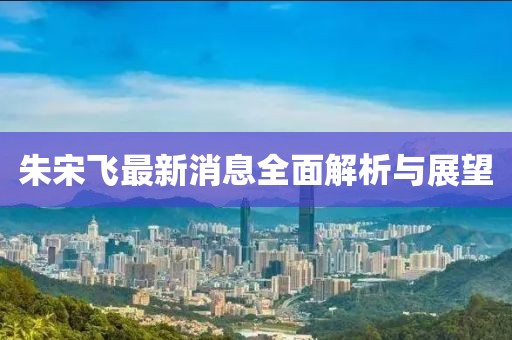 朱宋飞最新消息全面解析与展望