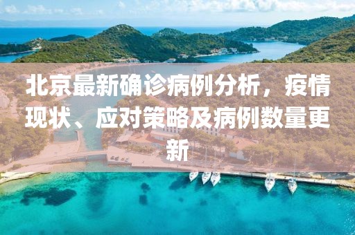 北京最新确诊病例分析，疫情现状、应对策略及病例数量更新