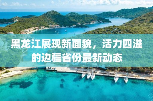 黑龙江展现新面貌，活力四溢的边疆省份最新动态