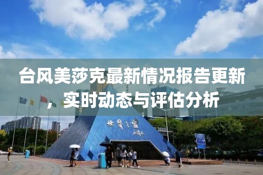 台风美莎克最新情况报告更新，实时动态与评估分析