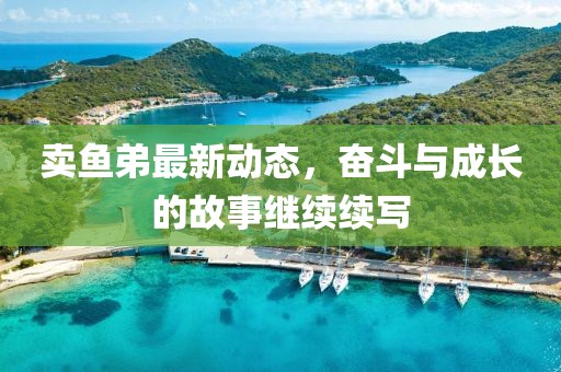 卖鱼弟最新动态，奋斗与成长的故事继续续写
