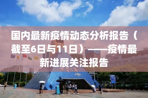 国内最新疫情动态分析报告（截至6日与11日）——疫情最新进展关注报告