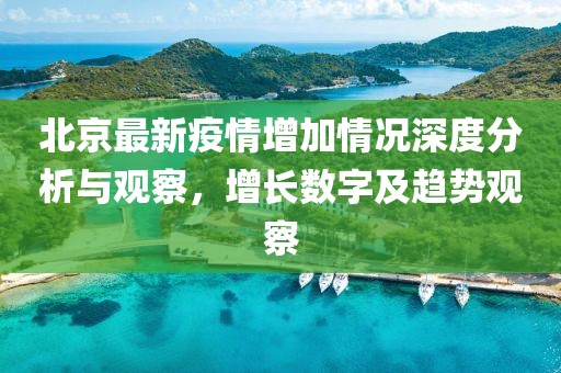 北京最新疫情增加情况深度分析与观察，增长数字及趋势观察