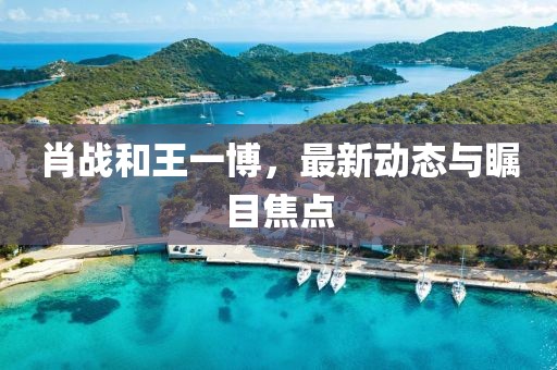 肖战和王一博，最新动态与瞩目焦点