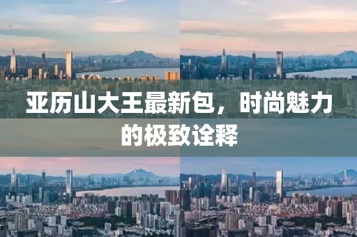 亚历山大王最新包，时尚魅力的极致诠释