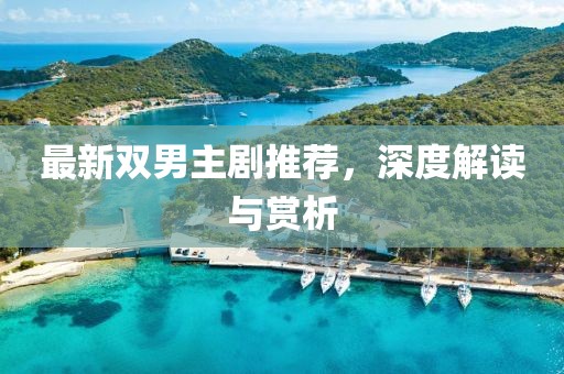 最新双男主剧推荐，深度解读与赏析