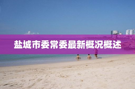 盐城市委常委最新概况概述