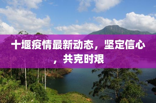 十堰疫情最新动态，坚定信心，共克时艰