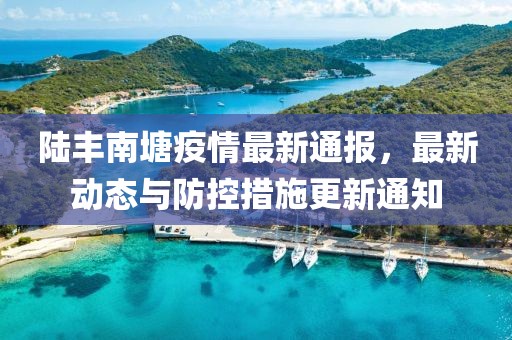 陆丰南塘疫情最新通报，最新动态与防控措施更新通知