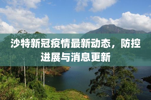 沙特新冠疫情最新动态，防控进展与消息更新