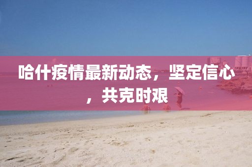 哈什疫情最新动态，坚定信心，共克时艰
