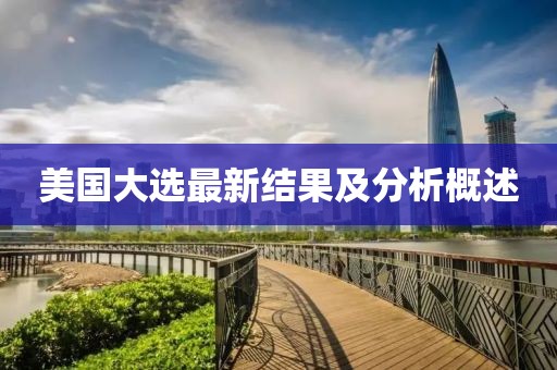 美国大选最新结果及分析概述