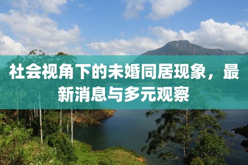 社会视角下的未婚同居现象，最新消息与多元观察