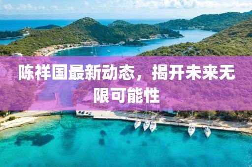陈祥国最新动态，揭开未来无限可能性