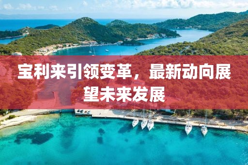 宝利来引领变革，最新动向展望未来发展