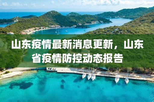 山东疫情最新消息更新，山东省疫情防控动态报告