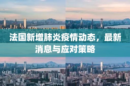 法国新增肺炎疫情动态，最新消息与应对策略