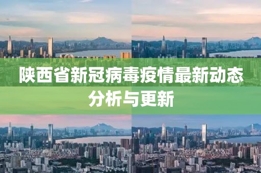陕西省新冠病毒疫情最新动态分析与更新