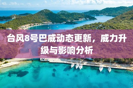 台风8号巴威动态更新，威力升级与影响分析