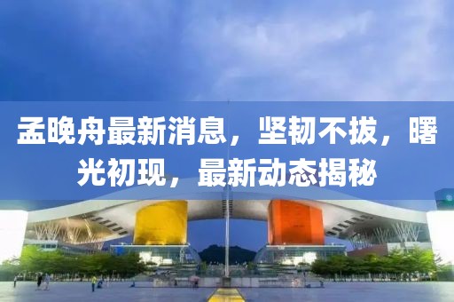 孟晚舟最新消息，坚韧不拔，曙光初现，最新动态揭秘