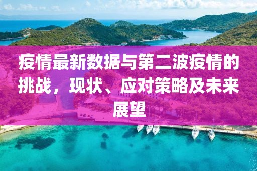 疫情最新数据与第二波疫情的挑战，现状、应对策略及未来展望