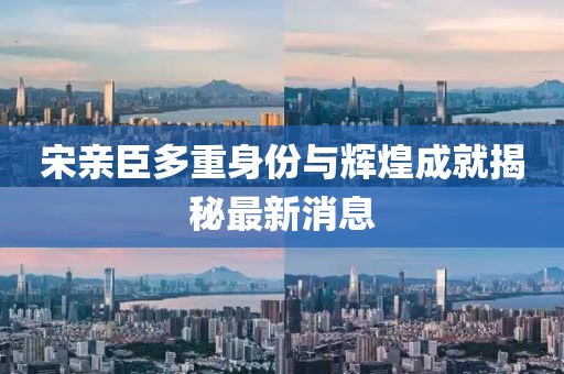 宋亲臣多重身份与辉煌成就揭秘最新消息