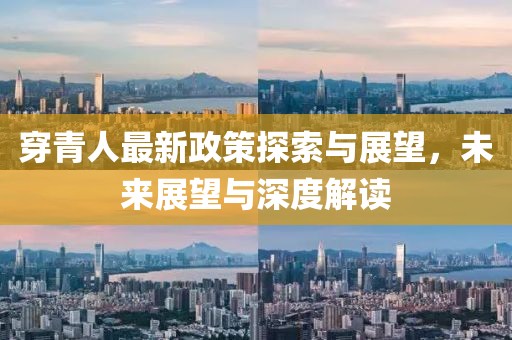 穿青人最新政策探索与展望，未来展望与深度解读