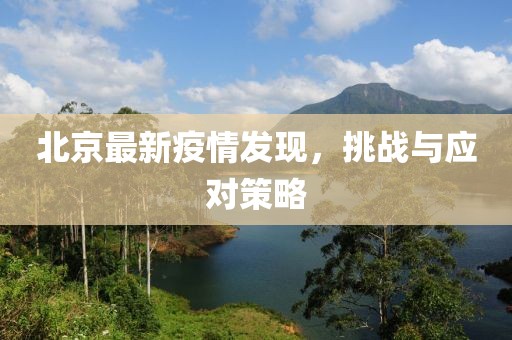 北京最新疫情发现，挑战与应对策略