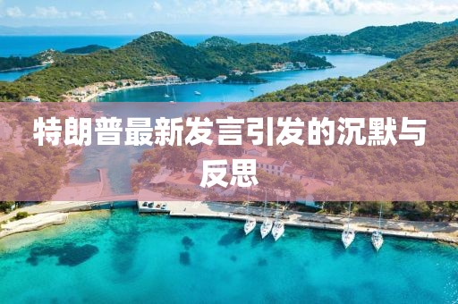 特朗普最新发言引发的沉默与反思
