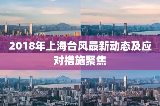 2018年上海台风最新动态及应对措施聚焦