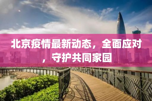 北京疫情最新动态，全面应对，守护共同家园