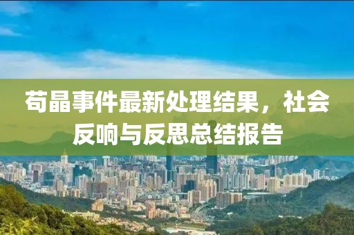 苟晶事件最新处理结果，社会反响与反思总结报告