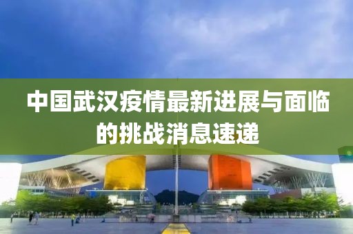 中国武汉疫情最新进展与面临的挑战消息速递
